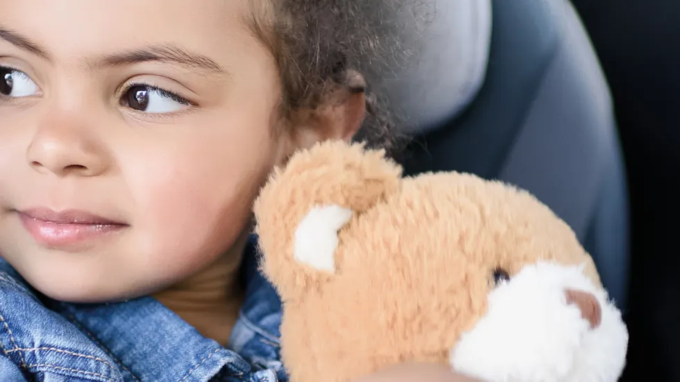 Schone lucht door een Interieurfilter van Bosch